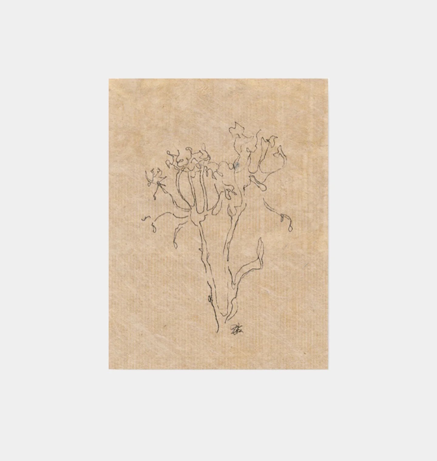 Small Contour Flower